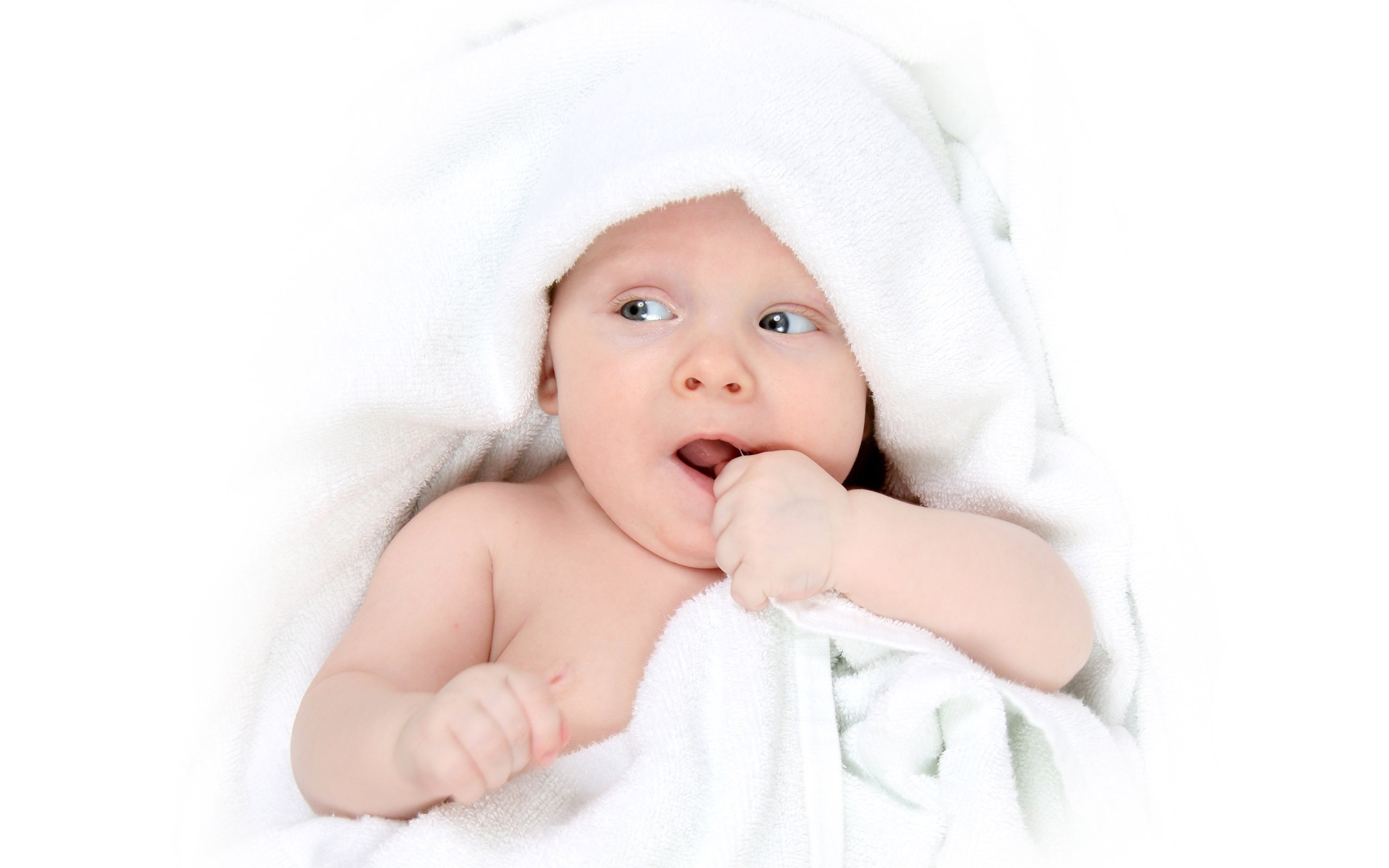 助孕供卵试管婴儿着床成功率